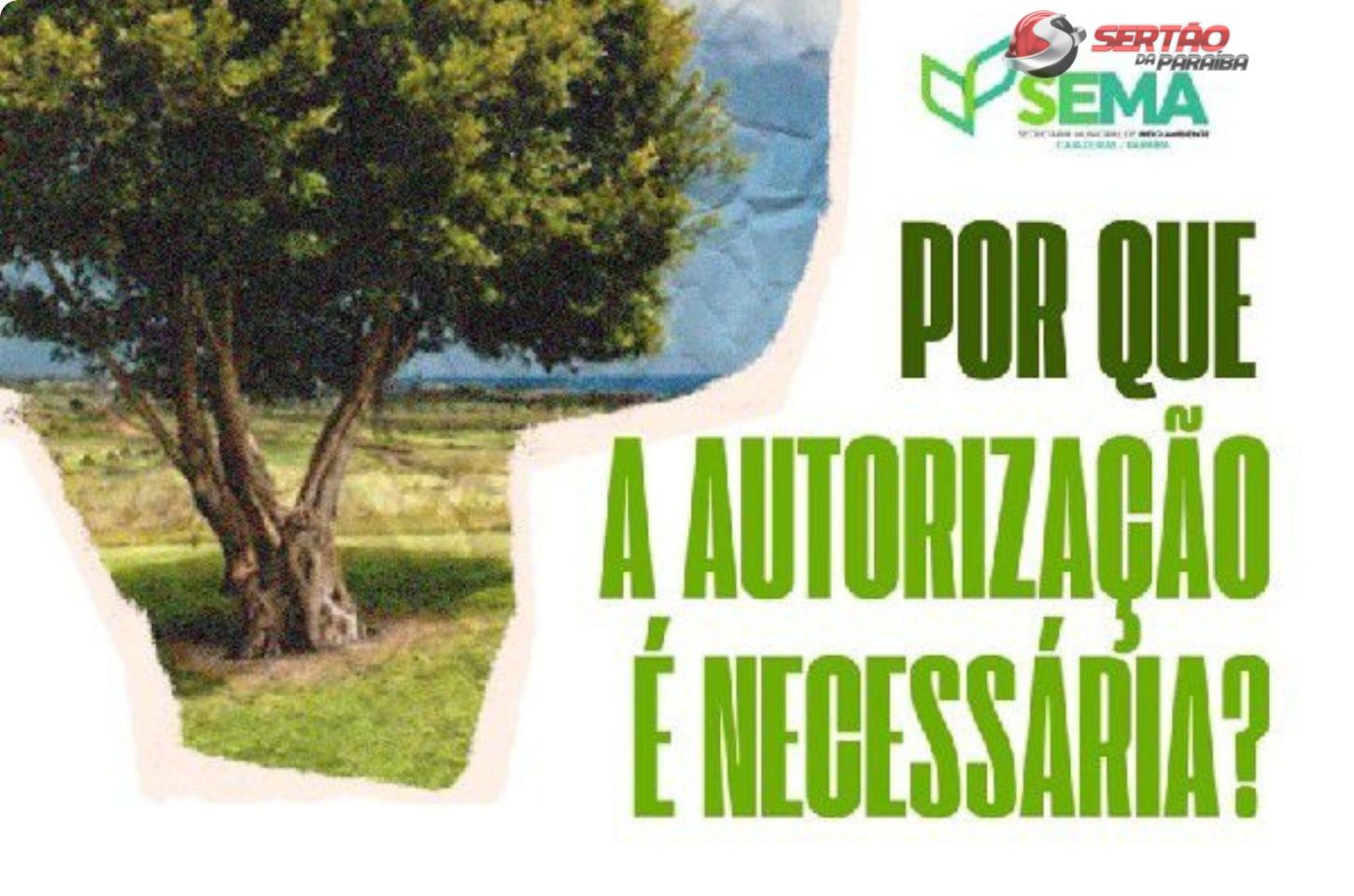 Secretaria reforça regras para poda e retirada de árvores em Cajazeiras