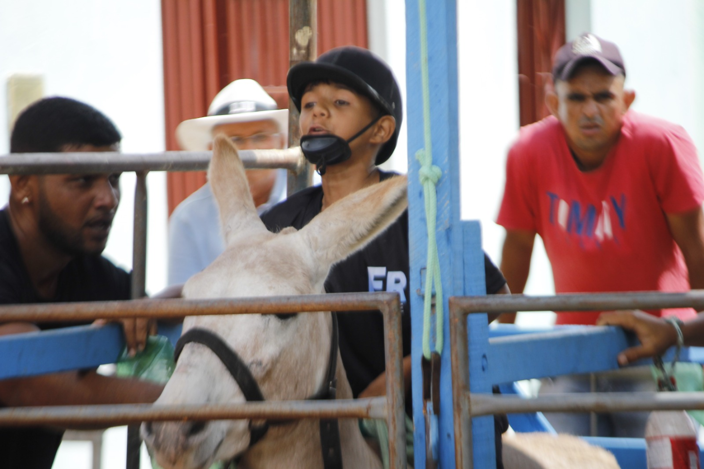 ALPB reconhece Corrida de Jegues de Bom Jesus como patrimônio imaterial da Paraíba