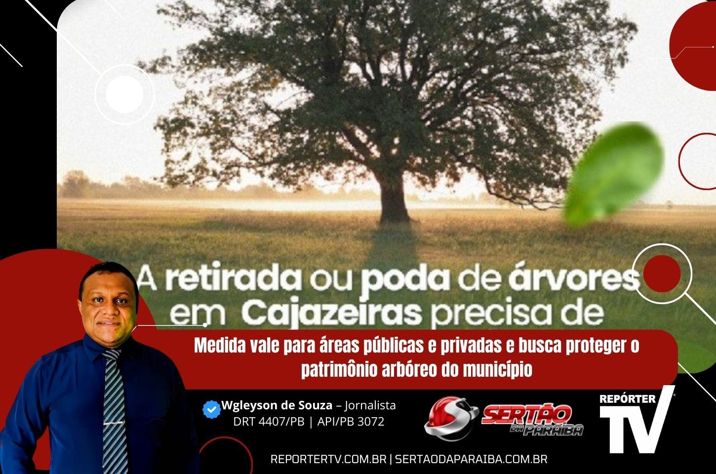 Supressão ou poda de árvores em Cajazeiras exige autorização prévia da Secretaria de Meio Ambiente