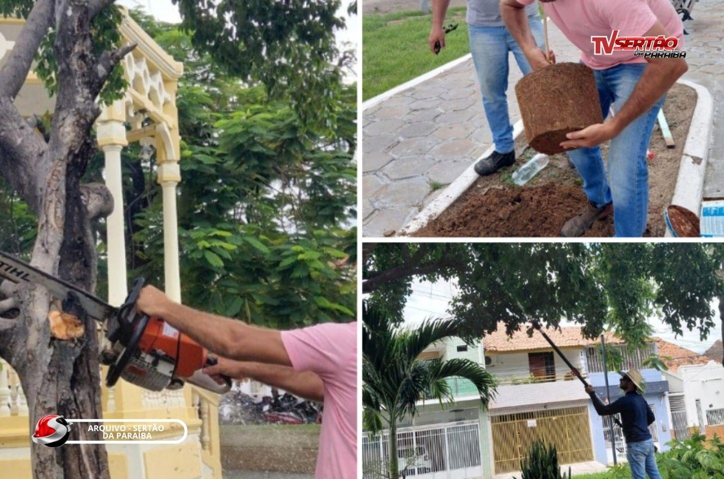 Cajazeiras reforça arborização com podas, vistorias e plantio para segurança e meio ambiente