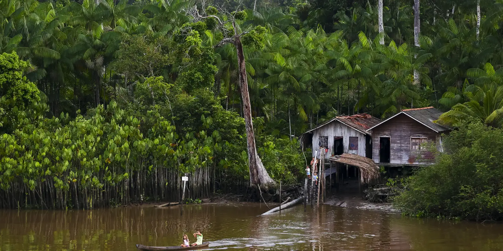 Projeto Aptra Lobo oferece tratamento gratuito para a Doença Jorge Lobo na Amazônia