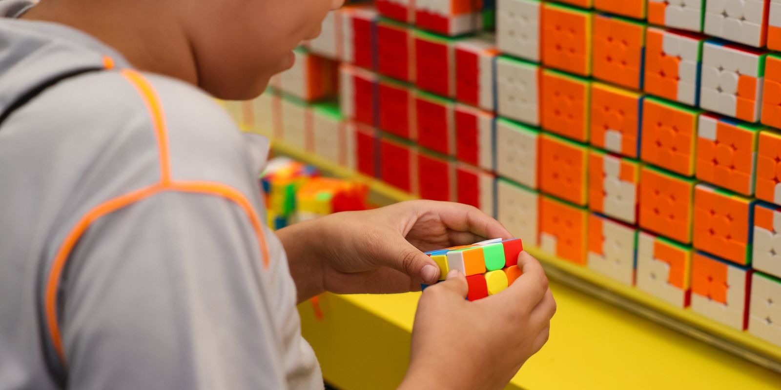 Primeira etapa do Censo da Educação Básica 2026 tem início