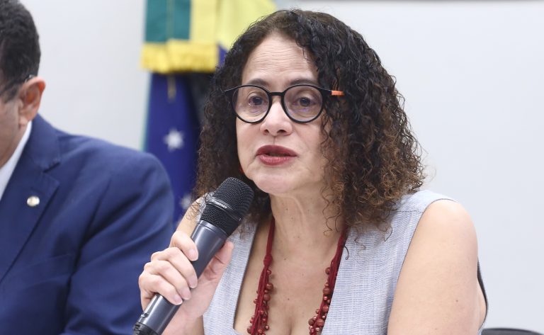 Ministra Luciana Santos é ouvida sobre planejamento do Ministério da Ciência, Tecnologia e Inovação