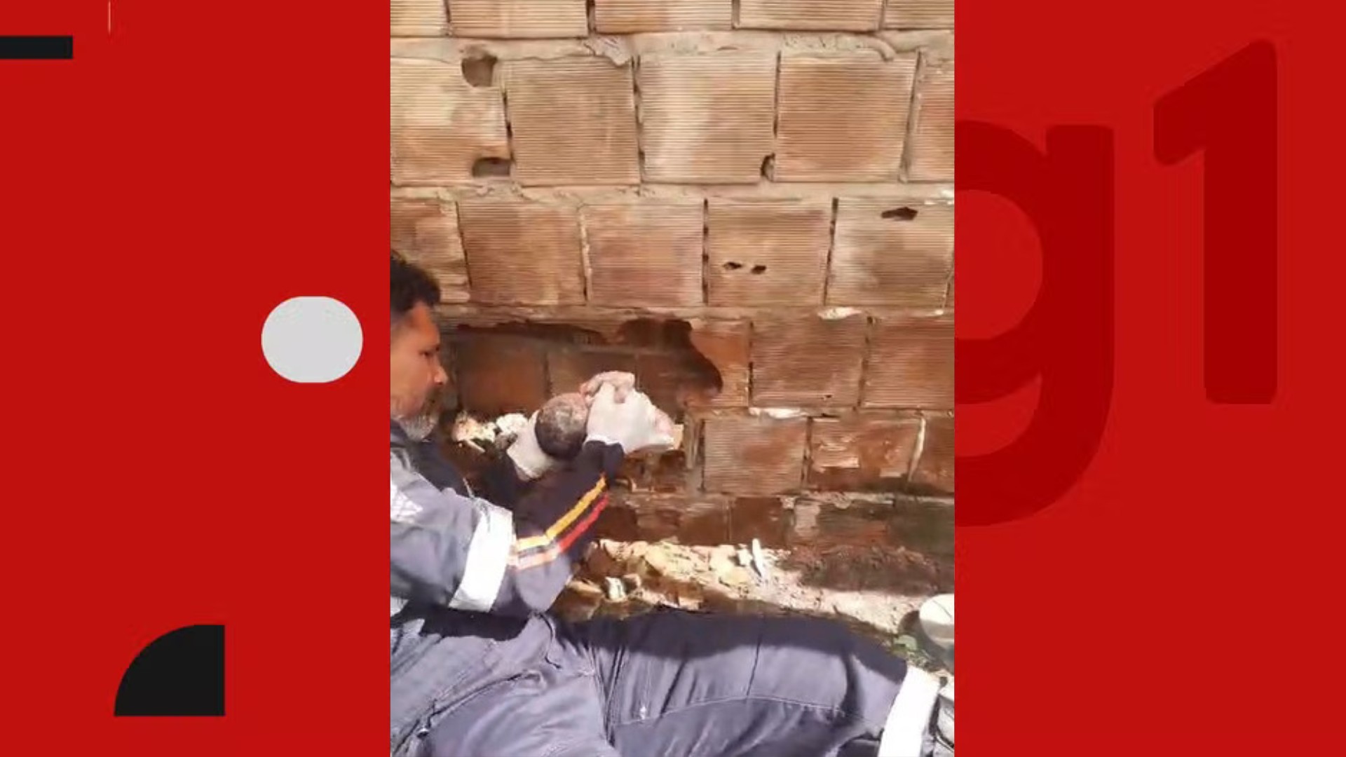 Laudo aponta que recém-nascido abandonado na Paraíba morreu por hipotermia e traumatismo