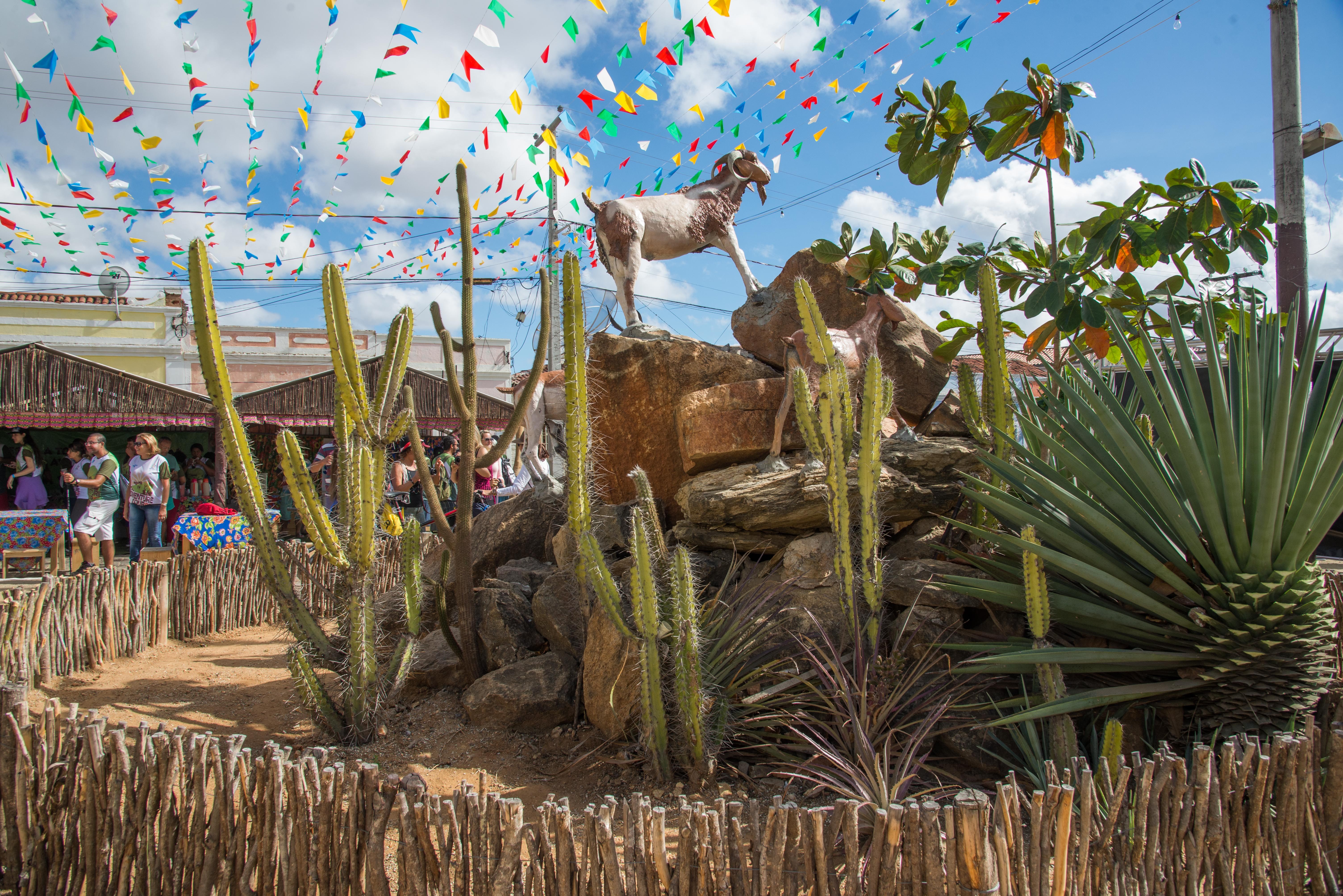 Festa do Bode Rei 2026: Cabaceiras, na Paraíba, inicia seu tradicional festival de caprinos e ovinos