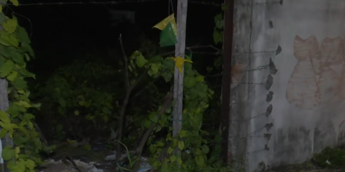 Corpo em decomposição é achado em terreno em João Pessoa