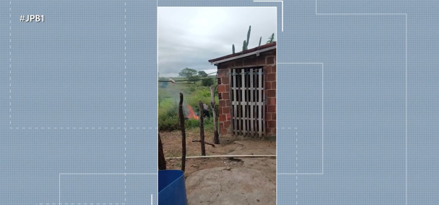 Justiça mantém prisão de suspeito de espancar e queimar cachorro vivo no Agreste da PB