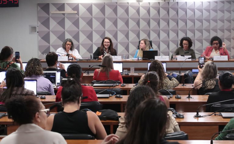 Ativistas pedem aprovação urgente da criminalização da misoginia na Câmara