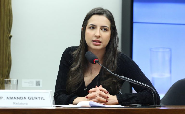 Câmara analisa projeto que aprimora monitoramento de medidas protetivas e suspende porte de arma de agressor