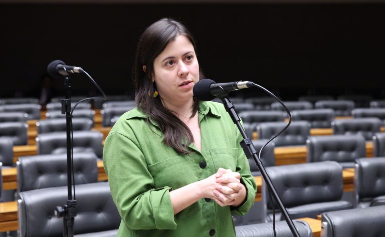 Projeto na Câmara proíbe acesso a armas de fogo para quem responde por medidas protetivas