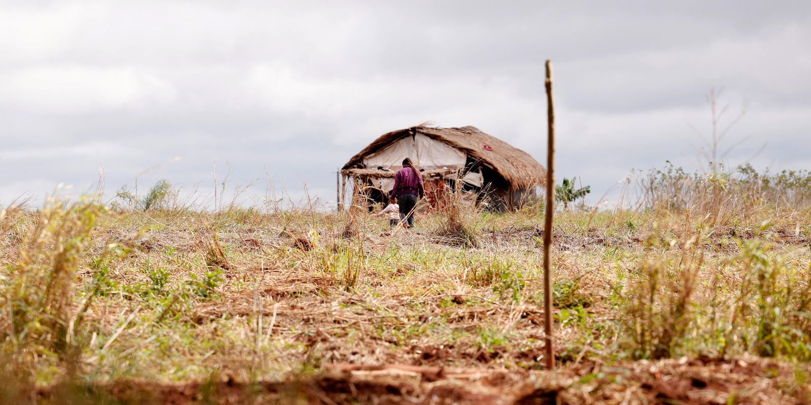 Aumentam os conflitos no campo no Brasil, mas assassinatos caem em 2026