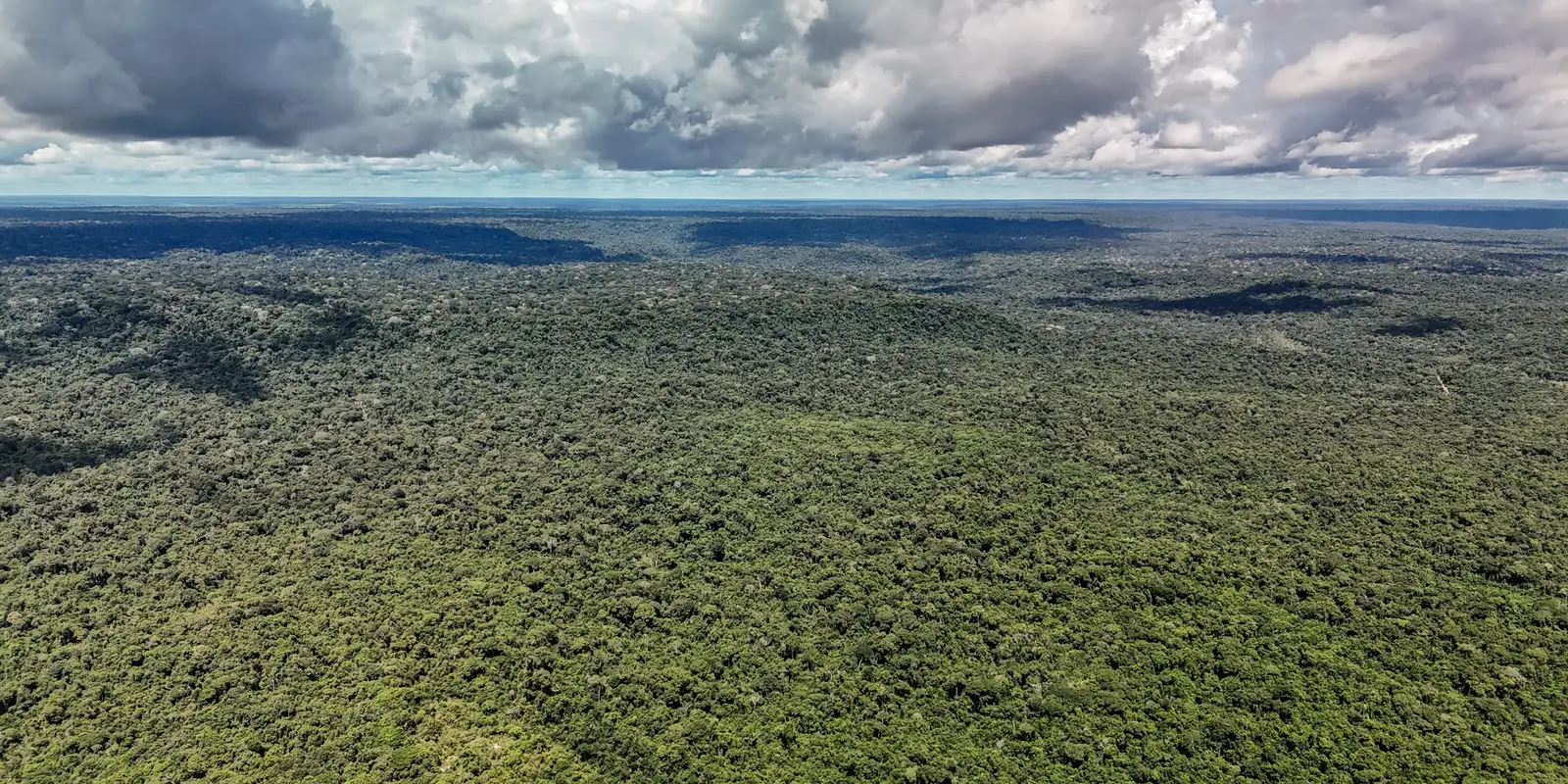 Ministério da Fazenda libera US$ 1 bilhão do BID para o Eco Invest Brasil
