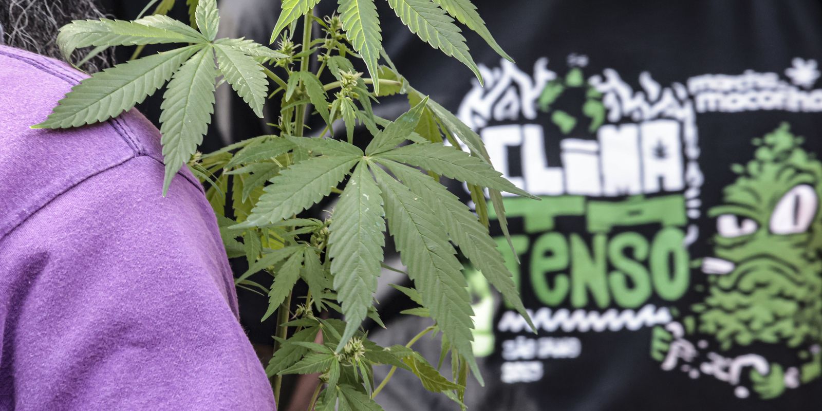 Prisão preventiva é mais frequente em flagrantes de drogas, aponta CNJ