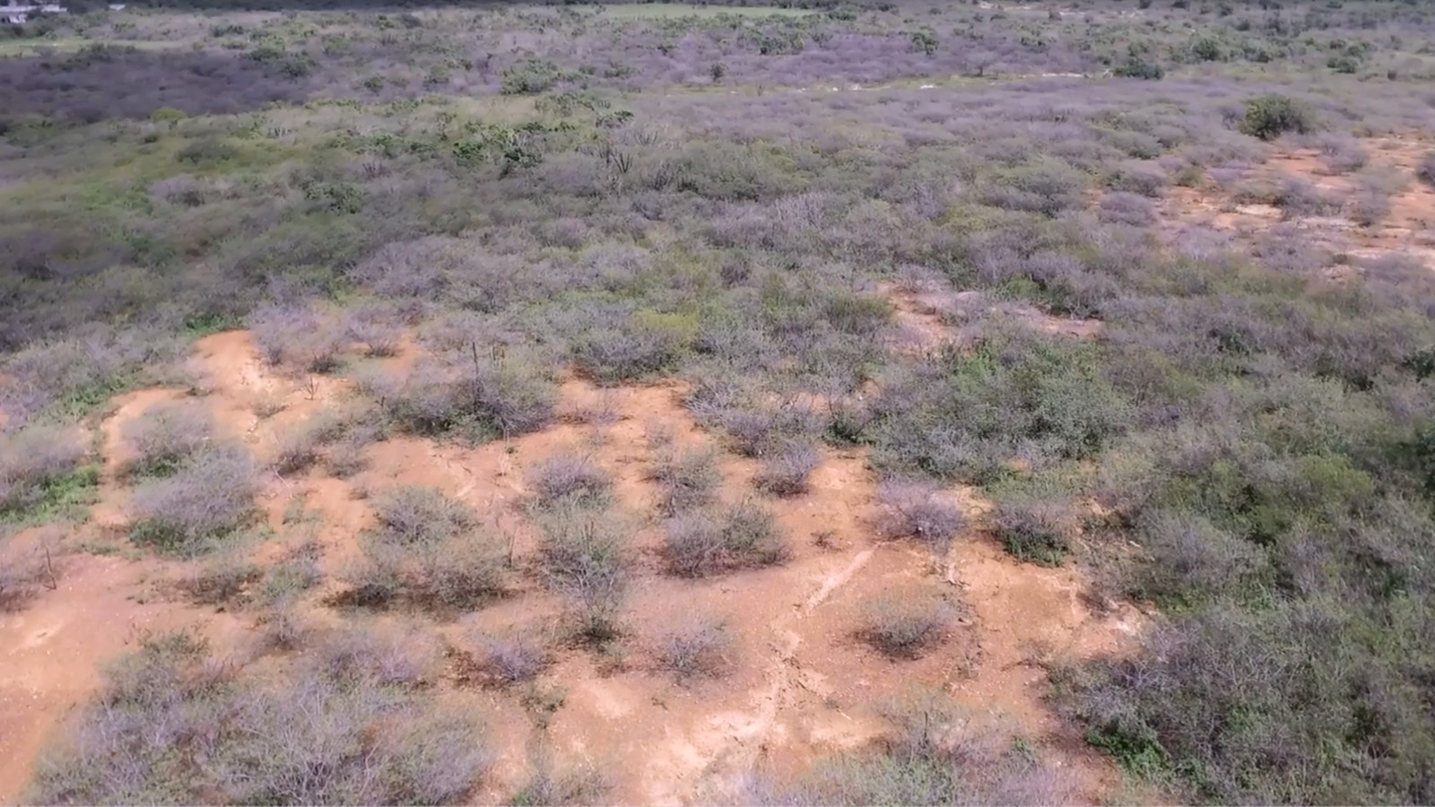 Enem aborda crise climática no semiárido; faça simulado de geografia