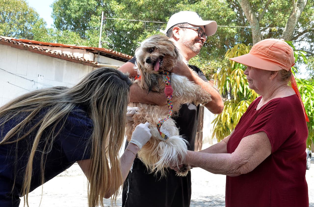 Campina Grande realiza segundo Dia D de vacinação antirrábica neste sábado