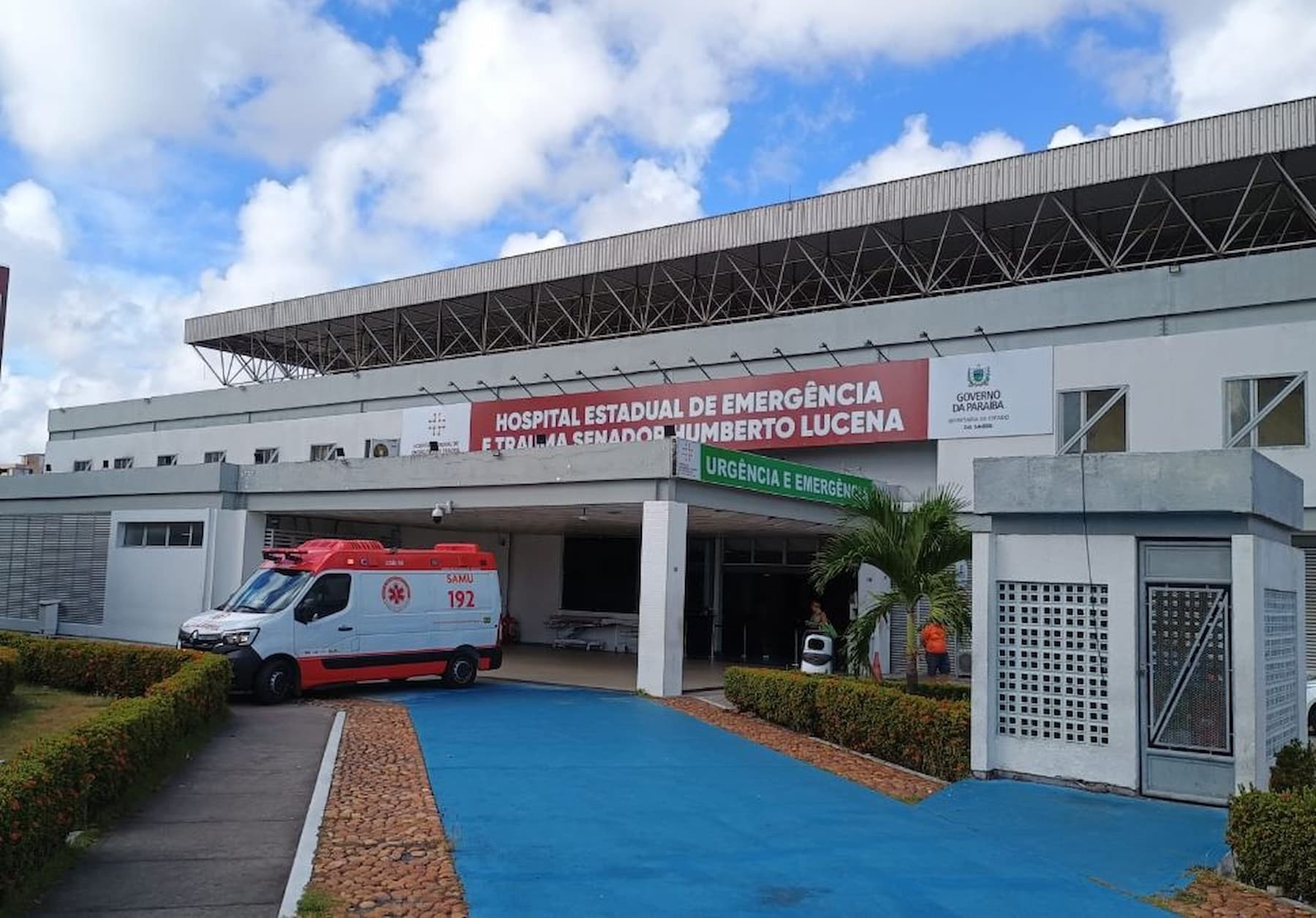 Ataque de abelhas deixa dois homens feridos em João Pessoa