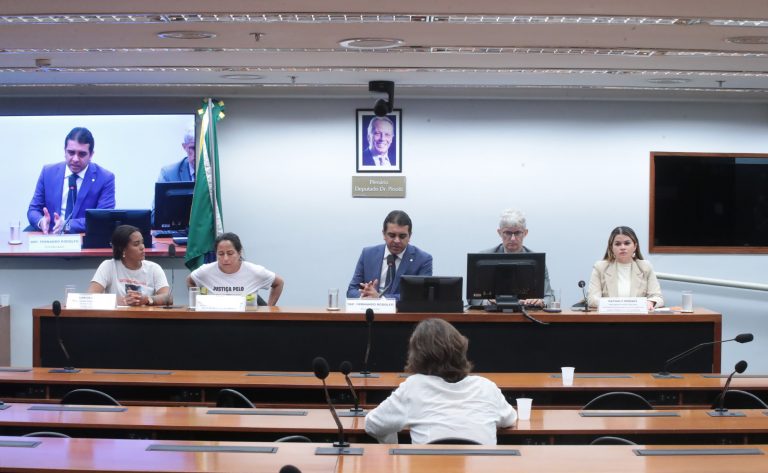 Mães cobram respostas em debate sobre crianças desaparecidas na Câmara