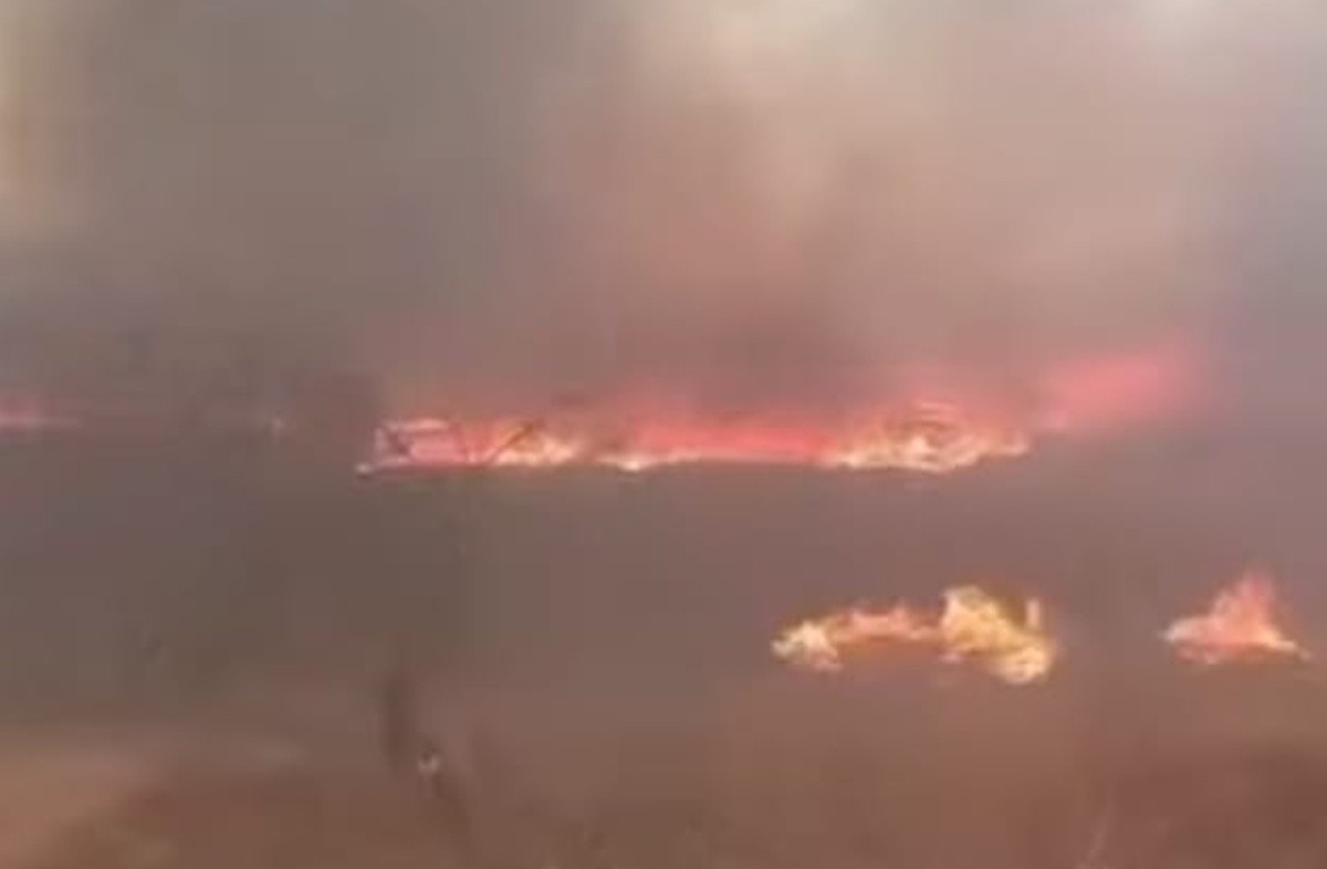 Incêndio destrói quase 600 hectares de mata no Sertão da Paraíba