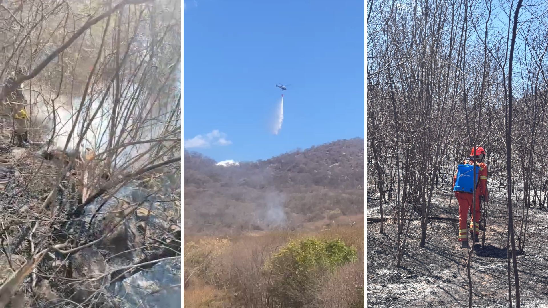 Incêndio na Paraíba é extinto após destruir 800 hectares de vegetação