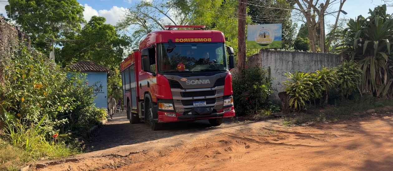 Ataque de abelhas deixa seis feridos e um grave em João Pessoa