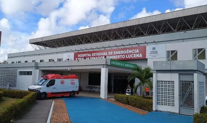 Ataque de abelhas deixa dois homens feridos em João Pessoa