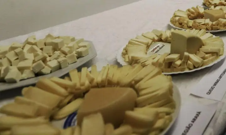 Brasil inicia importação de queijo com tarifas reduzidas após acordo Mercosul-UE