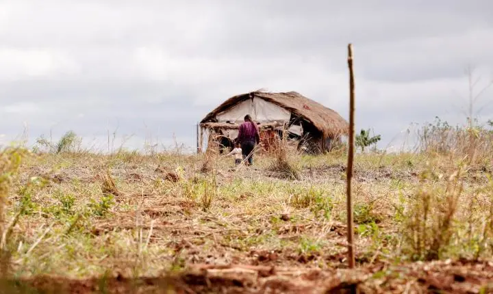 Aumentam os conflitos no campo no Brasil, mas assassinatos caem em 2026
