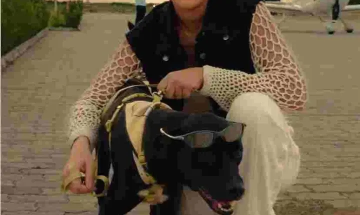 Cantora Michele Andrade adota cão durante show em Cajazeiras e gesto repercute nas redes