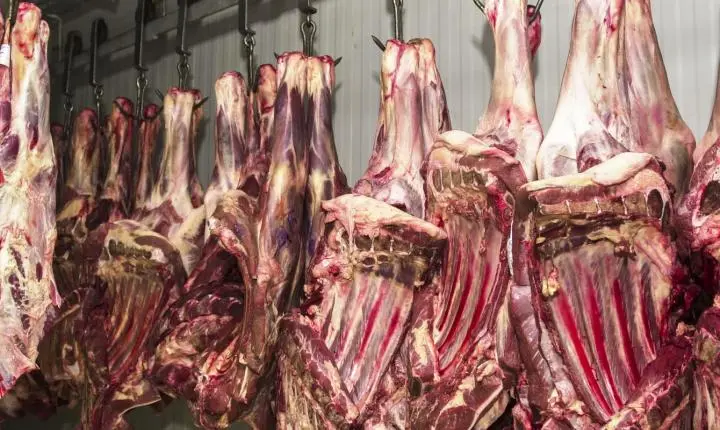 China suspende três frigoríficos brasileiros por irregularidades em exportação de carne