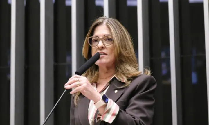 Comissão autoriza extensão de prazo para gestantes em programas de fidelidade