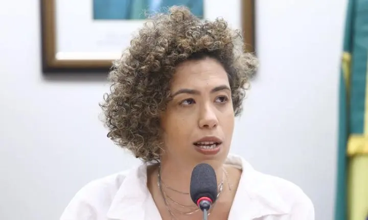 Comissão da Câmara promove debate sobre a Nova Economia