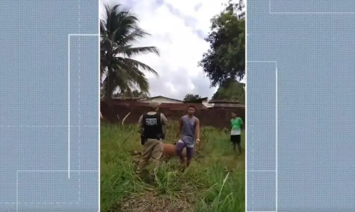 Coronel da reserva da PM é investigado por atirar em animais na Grande João Pessoa