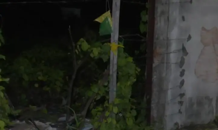 Corpo em decomposição é achado em terreno em João Pessoa