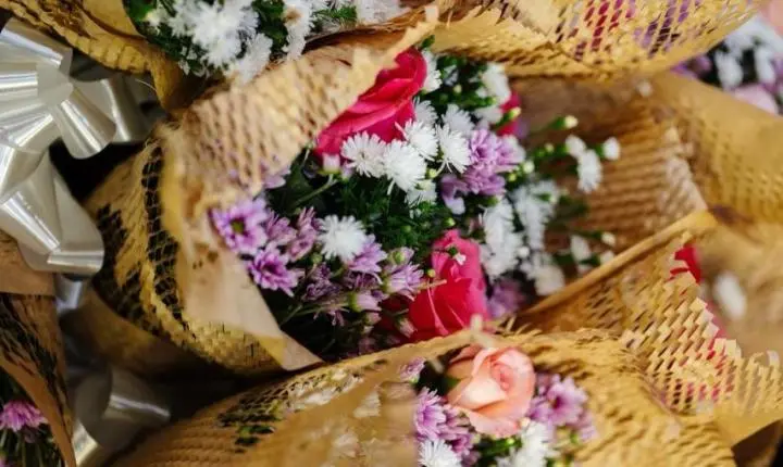 Corrinha Delfino recebe maior honraria da ALPB e reforça força feminina na gestão pública