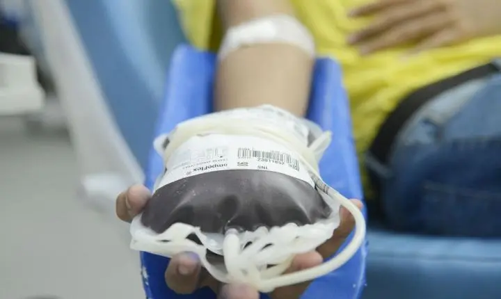 Novas regras reduzem espera para doação de sangue e tatuagem no Brasil