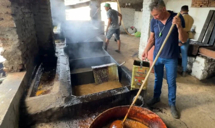 Engenho de cerca de 150 anos mantém viva a produção artesanal de rapadura na zona rural de Cajazeiras