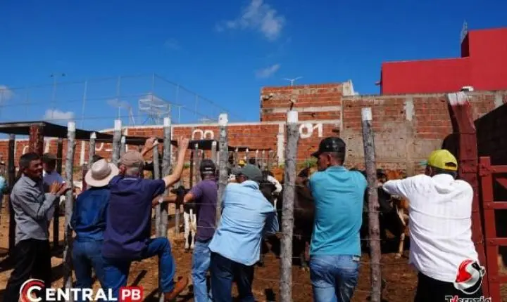 Feira de Animais abre festa dos 32 anos de Bernardino Batista e movimenta economia regional