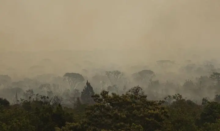Força Nacional do SUS atua no Amazonas após avanço de incêndios florestais