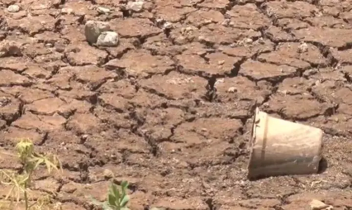 Governo Federal reconhece situação de emergência na Paraíba por causa da estiagem