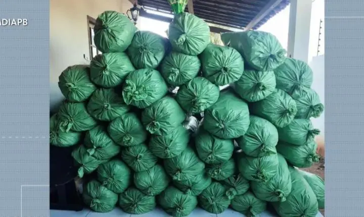 Homem é preso em operação policial com 430 kg de drogas em Sumé, Paraíba