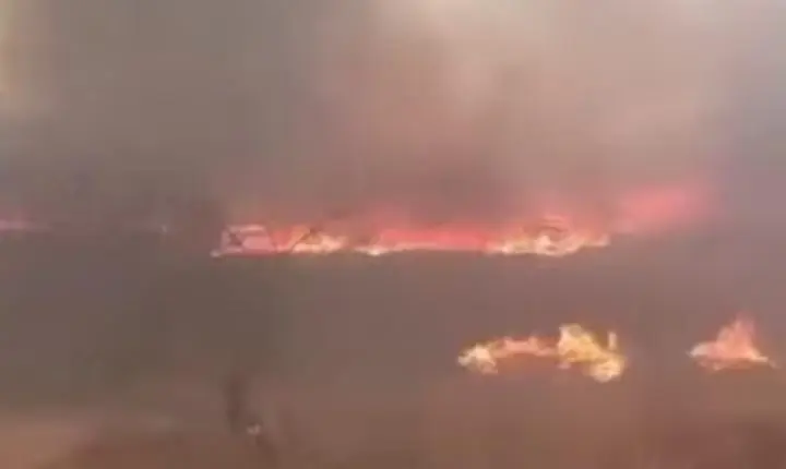 Incêndio destrói quase 600 hectares de mata no Sertão da Paraíba