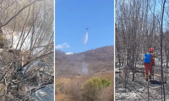 Incêndio na Paraíba é controlado após consumir 800 hectares