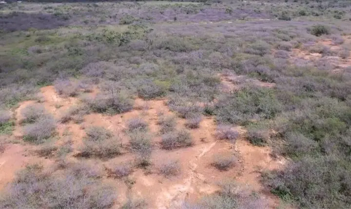 Enem aborda crise climática no semiárido; faça simulado de geografia