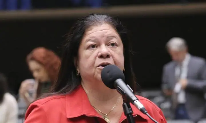 Nova lei estabelece diretrizes para guarda compartilhada de animais de estimação