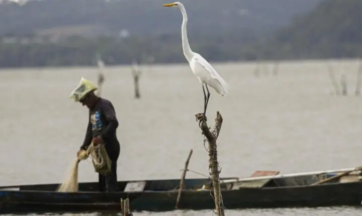 Relator defende novas regras do seguro-defeso para combater fraudes