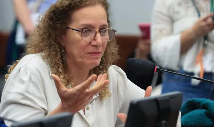 Parlamentares governistas buscam contraponto a narrativas de direita nos EUA