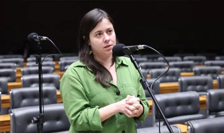 Projeto na Câmara proíbe acesso a armas de fogo para quem responde por medidas protetivas