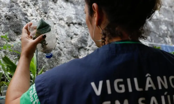 Dengue em São Paulo: mais de 58 mil casos e 42 mortes confirmadas