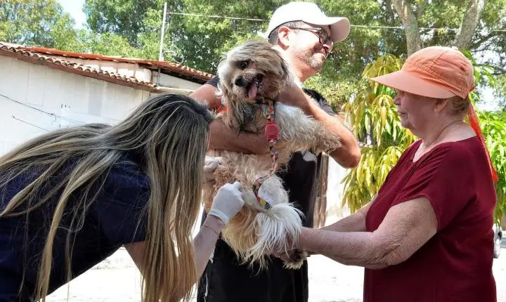 Campina Grande realiza segundo Dia D de vacinação antirrábica neste sábado