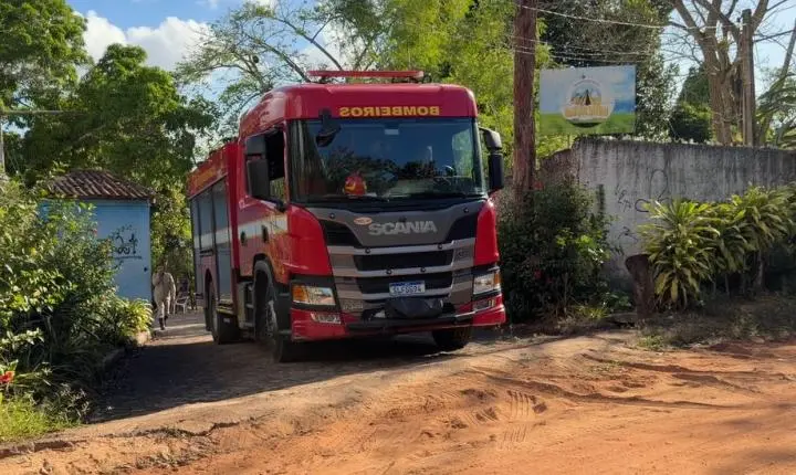 Ataque de abelhas em acampamento deixa feridos em João Pessoa